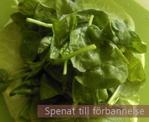 spenatigen