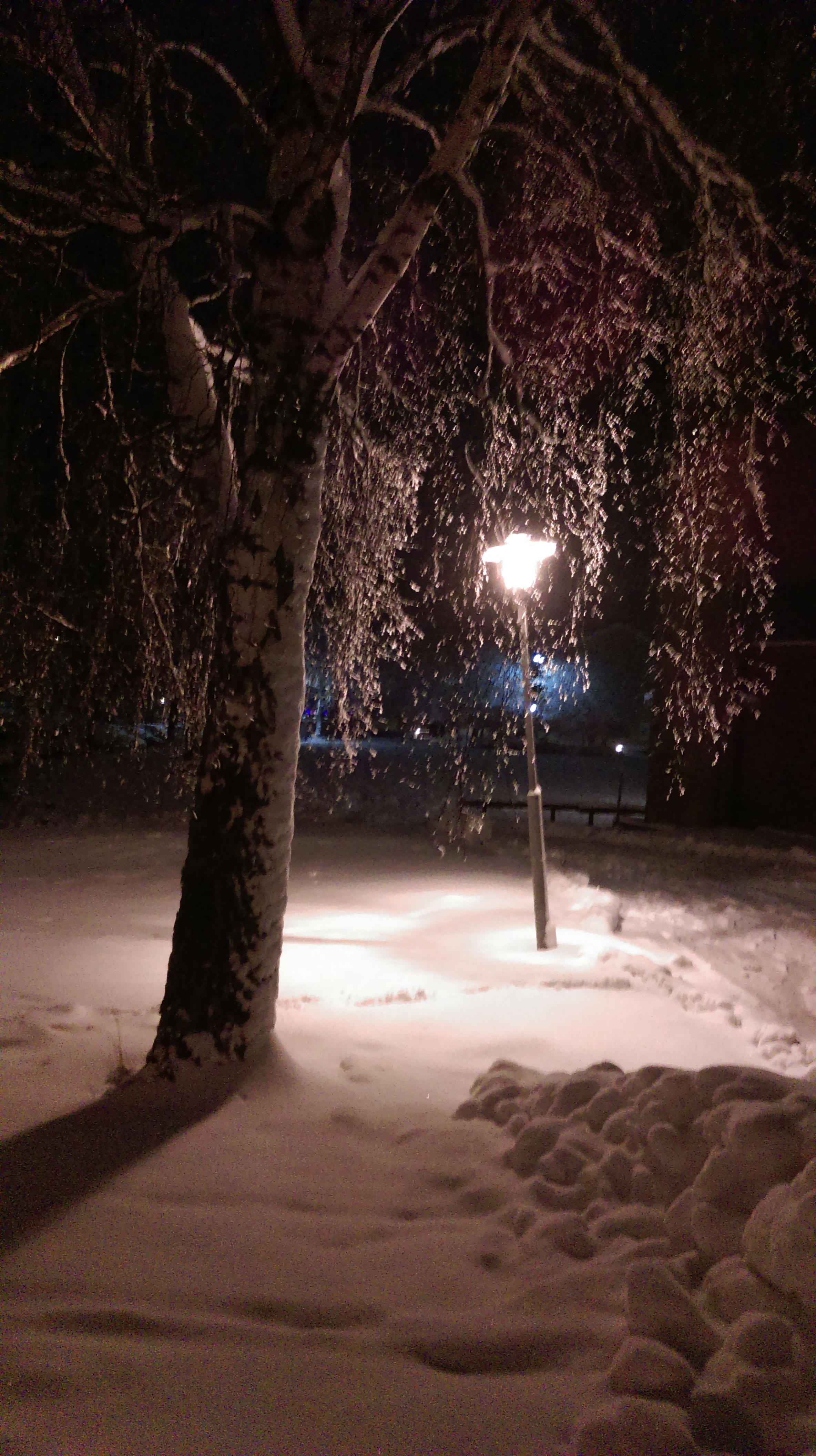 Lampskenet